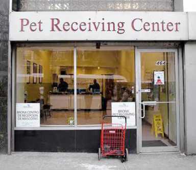 Bronx group wants animal shelter|Bronx group wants animal shelter