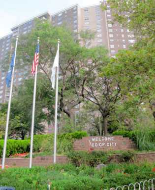 Co-op City: health scare ‘non-story’