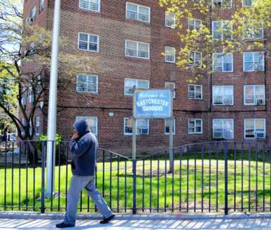 Eastchester Gardens eyes eyes