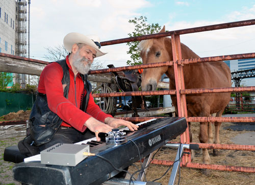 Judge clears Pelham Parkway stables ouster|Judge clears Pelham Parkway stables ouster