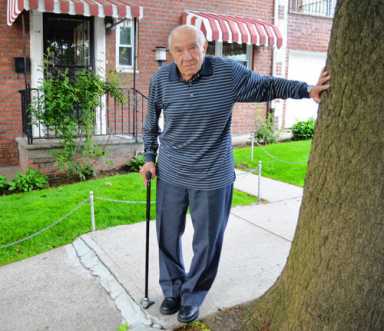 Roots of dismay in Pelham Bay|Roots of dismay in Pelham Bay