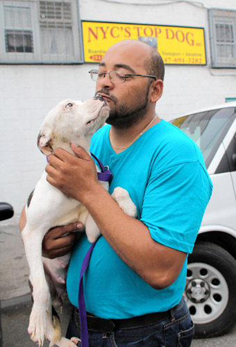 Only Bronx animal shelter at risk of closing