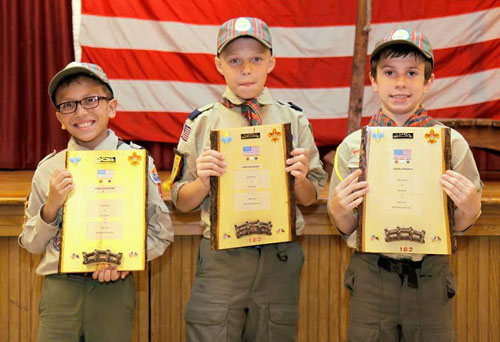 Cub Scouts get highest honor