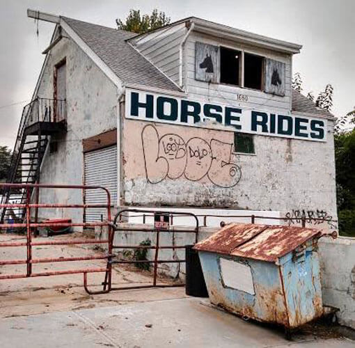 Horse stable falls victim to hi-rise development