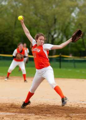 2014 All-Bronx Softball Honors