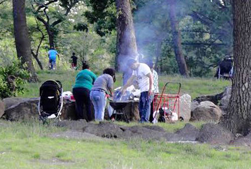 Park BBQers on the hot seat