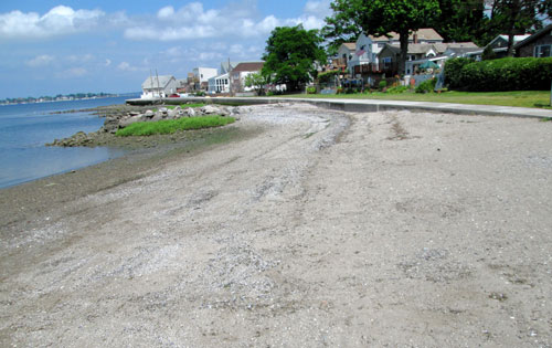 Senator Jeff Klein reduces beach debris|Senator Jeff Klein reduces beach debris