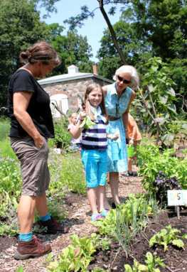 Fun in the sun at Bartow-Pell|Fun in the sun at Bartow-Pell