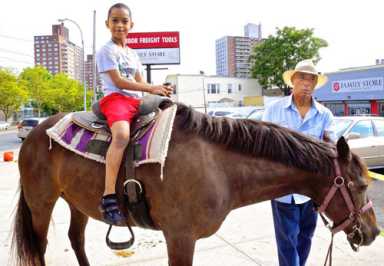 Healthy Youth Block Party rocks Cruger|Healthy Youth Block Party rocks Cruger
