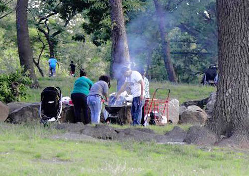 Deligence paid off this year in curtailing BBQing in several parks