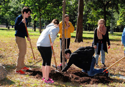 Volunteers and community cleanup Claremont Park|Volunteers and community cleanup Claremont Park