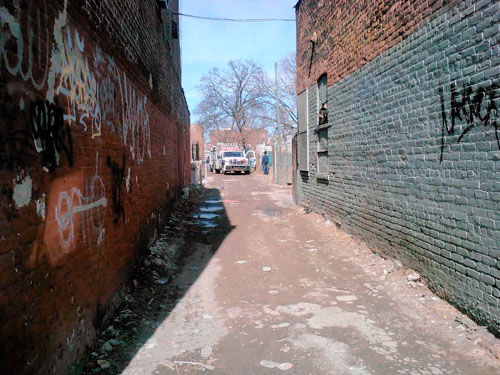 Cleaning up Allerton Avenue Alley
