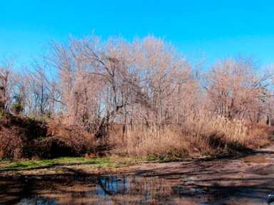 Locust Point community fights proposed zoning variance for five new homes|Locust Point community fights proposed zoning variance for five new homes
