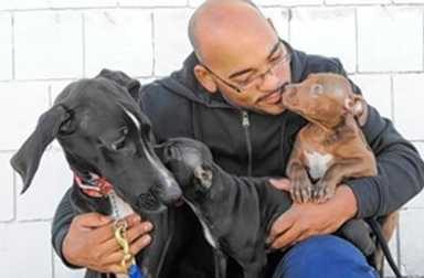 Non-profit to host adoption event