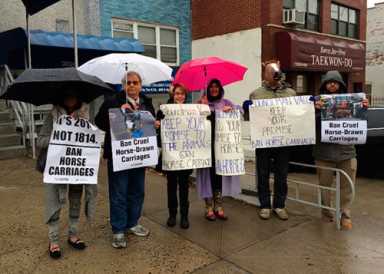 Vacca draws protestors over horse-drawn carriages