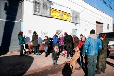 Animal rescue group holds adoption event|Animal rescue group holds adoption event