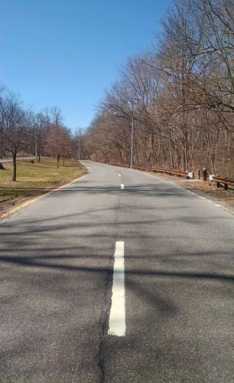 Man found dead inside tent in Pelham Bay Park