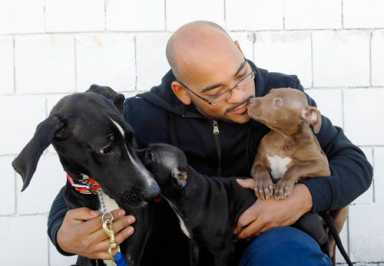 Animal shelter hopes to raise funds to stay put