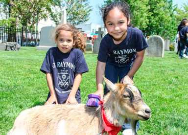 Petting Zoo at St. Raymond’s|Petting Zoo at St. Raymond’s