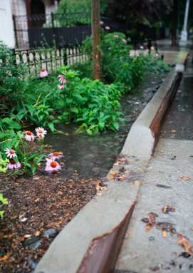 Bioswales to divert CB10, 11 rainwater|Bioswales to divert CB10, 11 rainwater