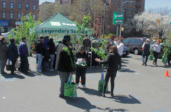 Rooted In NYC Survey reveals stats on parks in the Bronx