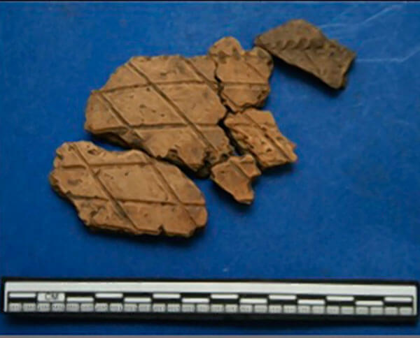 Native American artifacts discovered in Pelham Bay Park|Native American artifacts discovered in Pelham Bay Park|Native American artifacts discovered in Pelham Bay Park|Native American artifacts discovered in Pelham Bay Park