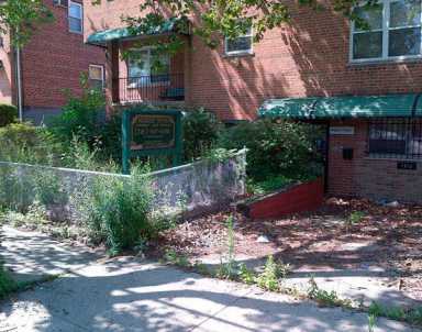 Vacca team cleans abondoned property