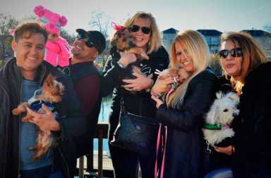 Cocktails and Dog Tails Charity Fundraiser|Cocktails and Dog Tails Charity Fundraiser