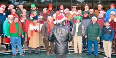 Holiday Tree Lighting Ceremony at The New York Botanical Garden|Holiday Tree Lighting Ceremony at The New York Botanical Garden|Holiday Tree Lighting Ceremony at The New York Botanical Garden