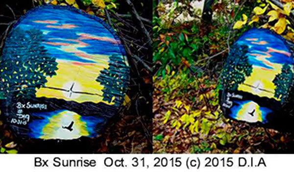 Artist Creates Painting on Stump in Pelham Bay Park