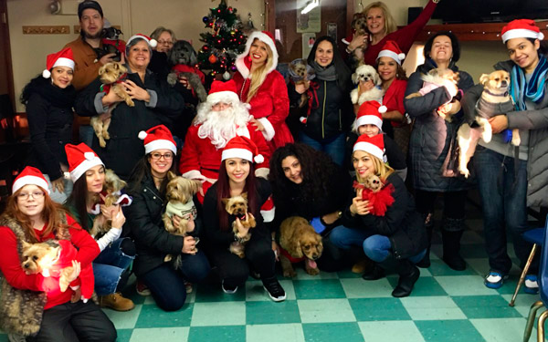 Santa Paws Christmas Party hosted by Bronx Foxy Pets