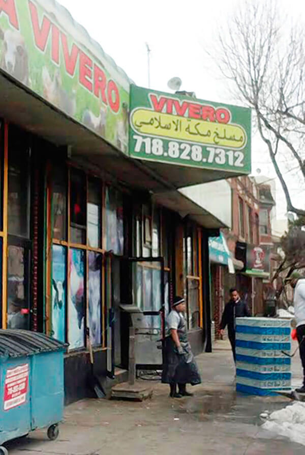 VN slaughterhouse allegations unfounded