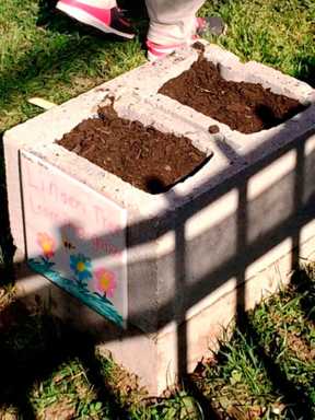 Linden Tree Elementary School’s Learning Garden