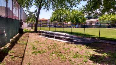 Rat problem at PBLL field|Rat problem at PBLL field