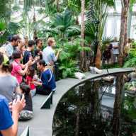 People from as far away as the Jersey Shore traveled to see the Corpse Flower in bloom in 2016. It was the first time since the 1930s that the flower has returned to the NYBG.