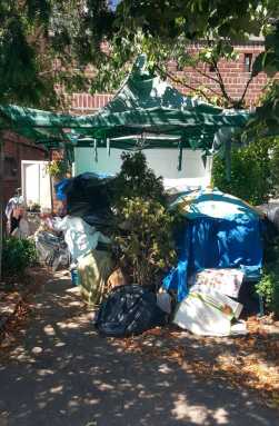 Cat rescuer affects residents on Paulding Avenue|Cat rescuer affects residents on Paulding Avenue