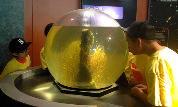 St. Helena Summer Students Visit NY Hall of Science