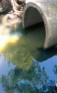 Friends of Van Cortlandt Park: pollution may be entering park from Yonkers pipe