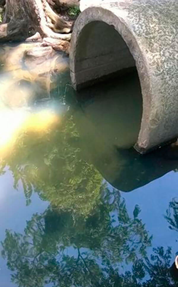Friends of Van Cortlandt Park: pollution may be entering park from Yonkers pipe