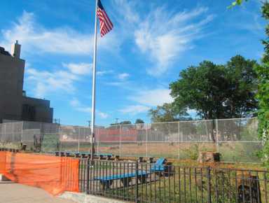Neighbors mourn lost mature trees cut down in P.S. 14 expansion|Neighbors mourn lost mature trees cut down in P.S. 14 expansion