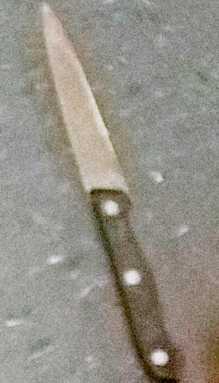 Remarks by police on Throggs Neck Houses shooting