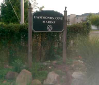 Body found in marina crate/Wrapped in plastic, horribly decomposed