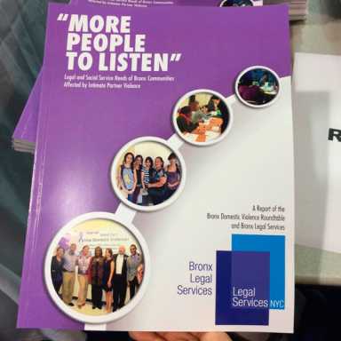 Study On Domestic Violence in the Borough released