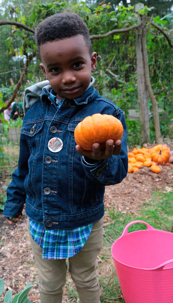 Bartow Pell’s ‘Fall Into Fall Harvest Festival’ Bronx Times