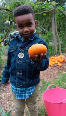 Bartow Pell’s ‘Fall Into Fall Harvest Festival’|Bartow Pell’s ‘Fall Into Fall Harvest Festival’