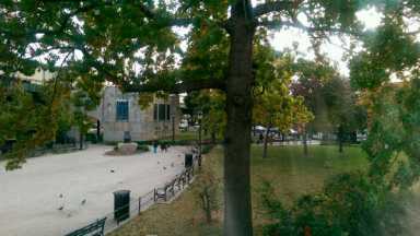 Cause of Owen Dolen’s rat infestation is puzzling