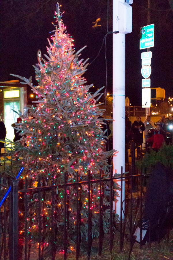 Throggs Neck Christmas Tree Lighting Brightens Spirits|Throggs Neck Christmas Tree Lighting Brightens Spirits|Throggs Neck Christmas Tree Lighting Brightens Spirits|Throggs Neck Christmas Tree Lighting Brightens Spirits|Throggs Neck Christmas Tree Lighting Brightens Spirits|Throggs Neck Christmas Tree Lighting Brightens Spirits|Throggs Neck Christmas Tree Lighting Brightens Spirits|Throggs Neck Christmas Tree Lighting Brightens Spirits