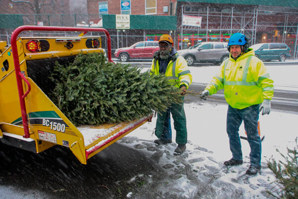 NYC Parks, DSNY & GreeNYC host 21st Annual MulchFest