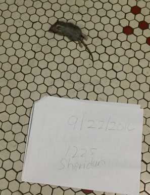 Tenants sue landlord for needed repairs