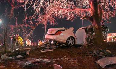 Brothers Killed After Car Slams Into Tree